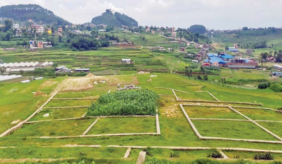 घरजग्गा कारोबारबाट पौने तीन अर्ब राजस्व