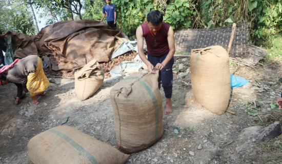 झापामा अलैँची प्रशोधन उद्योग सञ्चालन