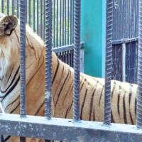 खाली भएका गाउँबस्ती भरिँदै