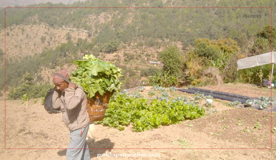 सडक पुगे पनि छुटेन डोकोनाम्लो