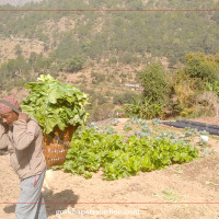 इजरायलमा मारिएका विद्यार्थीका परिवारलाई सुदूरपश्चिम सरकारको २ लाख सहयोग