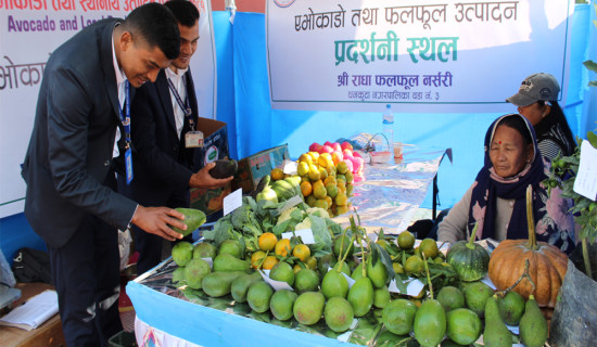 धनकुटामा एभोकाडो तथा स्थानीय उत्पादनको प्रदर्शनी