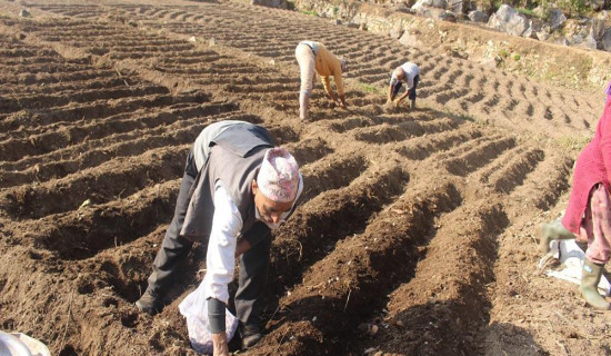 दुग्ध क्षेत्रको समस्या समाधान गर्न सबैको पहल आवश्यक