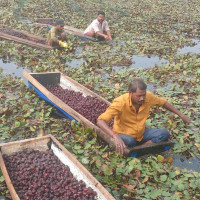 शिवराज नगरपालिकाका १४७ जनालाई लालपुर्जा वितरण