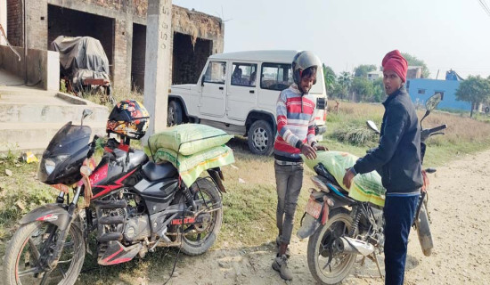 भारतीय मलको भरमा कृषक, गहुँ खेतीका लागि डिएपी अभाव