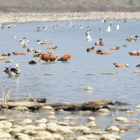 नेपालको आवश्यकता स्वच्छ ऊर्जा