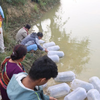 धारिलो हतियार प्रहार गरी हत्या