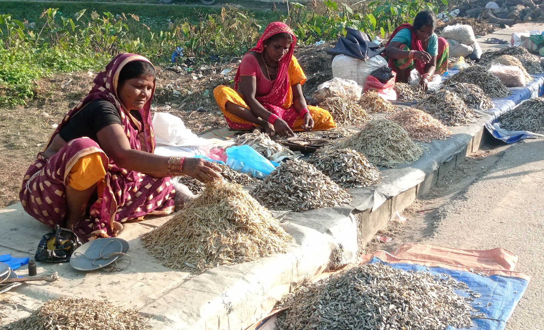 बिहीबारे हटियामा सिद्राको व्यापार