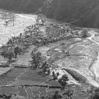 हस्तकलाका सामग्री बिक्रीबाट आयआर्जन