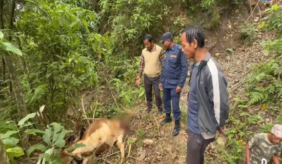 सञ्चार माध्यमले विज्ञापनको दररेट विज्ञापन बोर्डमा पेश गर्नुपर्ने