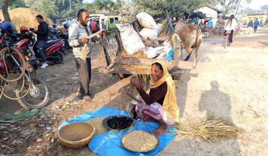 वस्तु विनिमयको प्रचलन कायमै