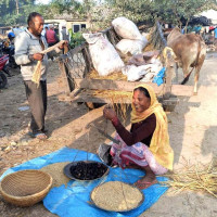 चौबिस घण्टाभित्र हवाई भाडादर बुझाउन निर्देशन