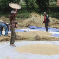 नागरिकता फाँटमा अत्यधिक चाप