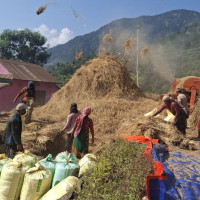 सडकमै स्वास्थ्य परीक्षण : चालकमा उच्च रक्तचाप तथा आँखाको समस्या