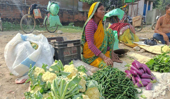 धान भित्र्याउने चटारो