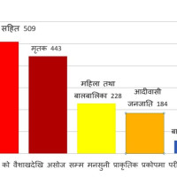 दीर्घकालीन विद्युत व्यापार सम्झौता कार्यान्वयन हुँदैछ : प्रधानमन्त्री