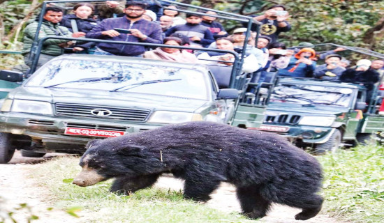 कर्णाली नदीको बाढी सतह उक्ल्यो १० मिटर १ सेन्टिमिटर