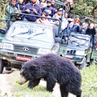 अर्घाखाँचीमा जिप दुर्घटना : एकको मृत्यु, नौ घाइते