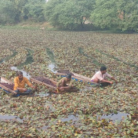 रुसद्वारा सेनाको बदलामा उत्तर कोरियालाई तेल, एन्टी-एयर मिसाइल र आर्थिक सहयोग प्रदान