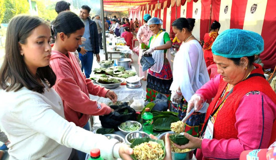 मेलाको ब्रान्ड बन्यो दुनाटपरी