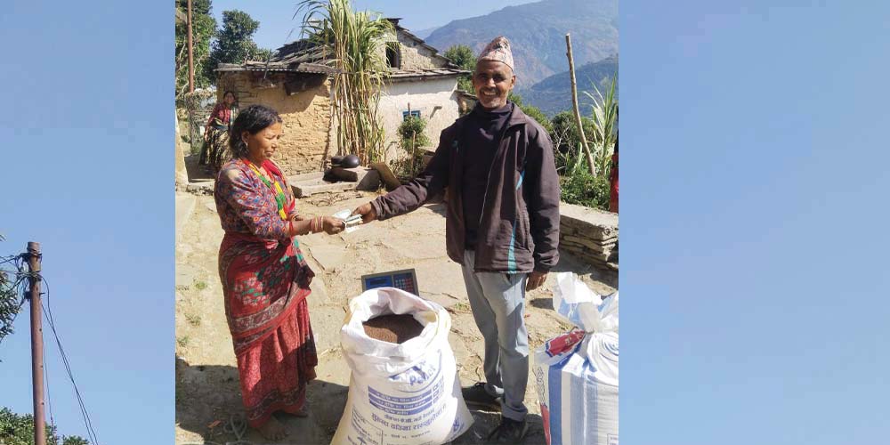 घरमै कोदो बिकेपछि महिला हर्षित