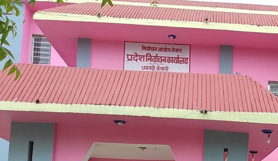 आयोगका उपाध्यक्ष र युनिसेफ नेपाल प्रतिनिधिबिच भेटवार्ता