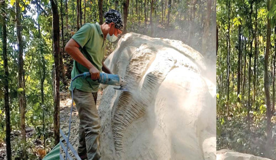 कलाकारको आकर्षण प्रस्तरकलामा