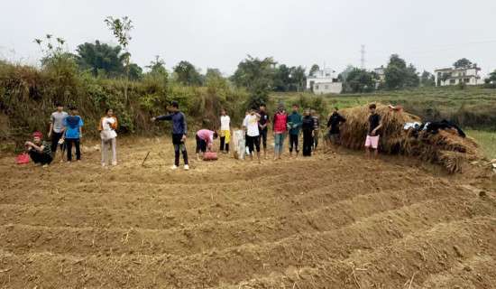 अध्ययन खर्च आफैं जुटाउँदै कर्मदाका विद्यार्थी