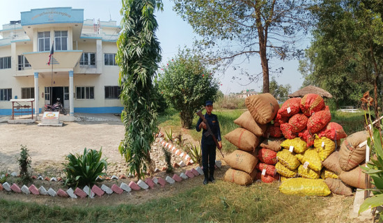 चार दिनमा बझाङ केन्द्रबिन्दु भएर १५ पटक भूकम्प