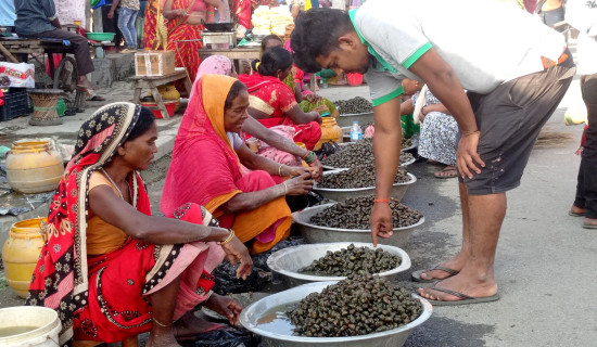 आगामी चैत ५ गते स्ववियु निर्वाचन हुने