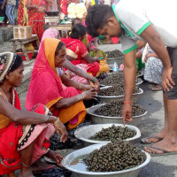 बुढीगण्डकीलगायत विभिन्न जलविद्युत परियोजनाको लगानी स्वीकृत