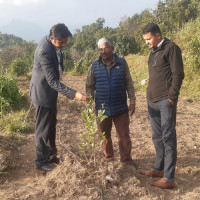 बाढीपहिरोमा परी दुई सय ४४ जनाको मृत्यु