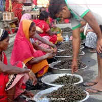 लैङ्गिक हिंसाविरुद्धको अभियान सम्पन्न