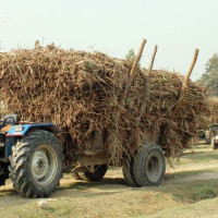 पानी बाँड्दै गाउँपालिका