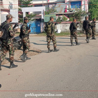 फूल खेतीमा रमाउँदै किसान