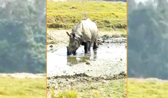 प्रदूषणले वासस्थान फेर्दै जनावर