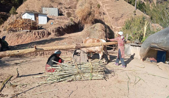 सडक नहुँदा किसानलाई समस्या