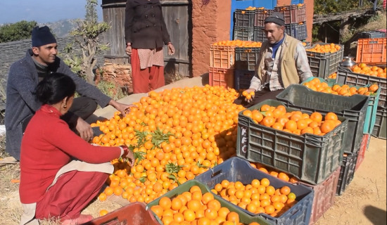 अक्सनमा ‘अनलक्की’ भयौँ : सन्दीप