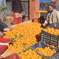 ‘अपाङ्गता भएका व्यक्तिलाई आवश्यक सहायता सामग्री सरकारले उपलब्ध गराउँछ’