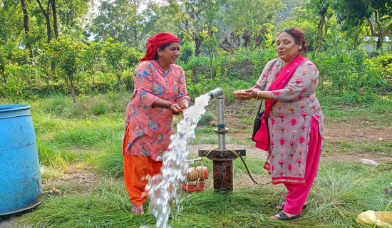 सत्तरी प्रतिशत फैसलामा अख्तियार असहमत