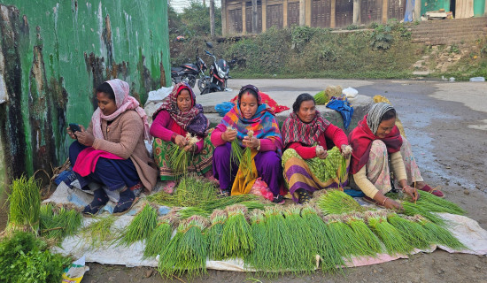 प्याजको बेर्ना किन्ने ग्राहक कुर्दै कृषक