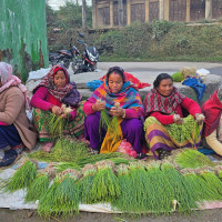 चार करोडको सुन्तला निर्यात