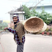 ‘हरर’ विधामा बन्यो चलचित्र ‘मम्मी’