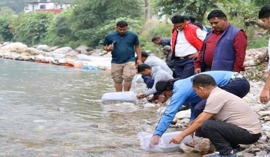 हुग्दी खोलामा थप २० हजार माछाका भुरा छाडियो