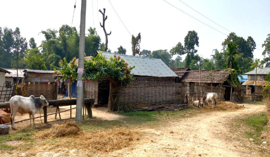 चुनावी प्रचारको नारामै सीमित रह्यो,सुकुमवासी र भूमिसम्बन्धी समस्या