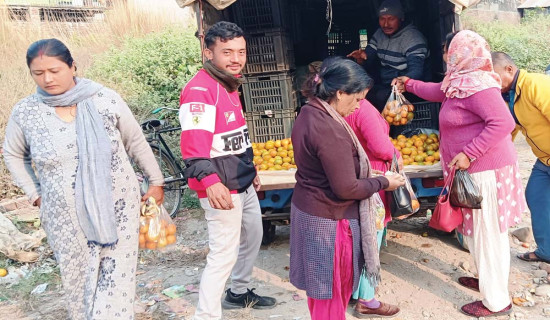 मधेशका बजारमा पहाडका सुन्तला