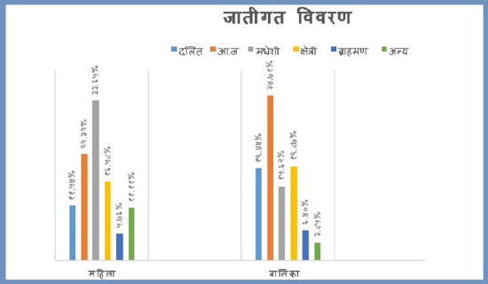 महिला हिंसाको ‘मूल कारक’ घरेलु हिंसा