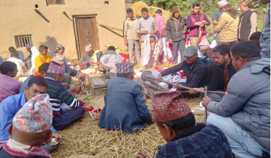 गाउँ गाउँमा देवाली पर्वको रौनक