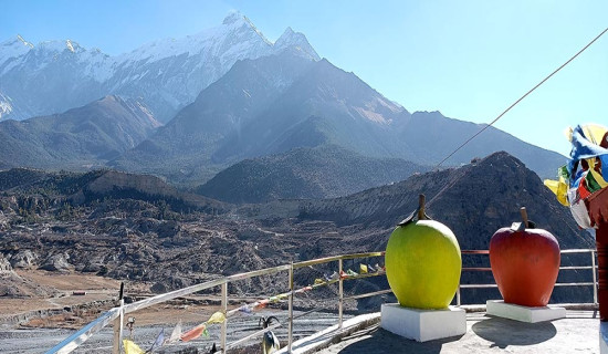 भारतीय सेनाको गोली लागी सात माओवादी विद्रोहीको मृत्यु