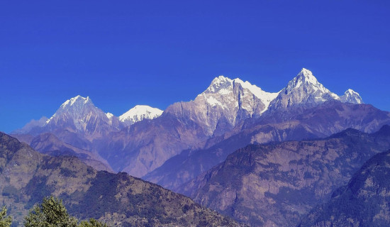 बनैता दोस्रो कार्यकालका लागि सिरहा शाखा अध्यक्षमा निर्वाचित